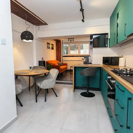 Apartment Ioana Bucovina *