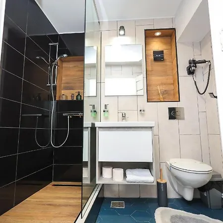 Ioana Bucovina Apartment *