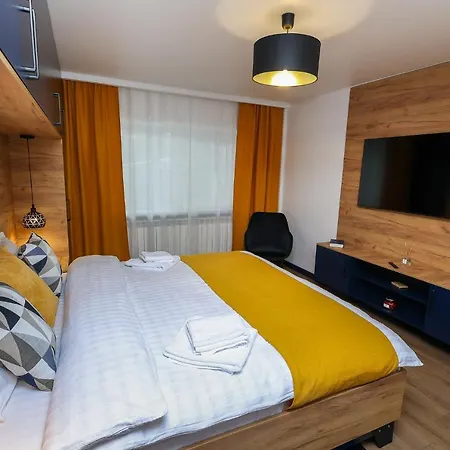 Apartment Ioana Bucovina *