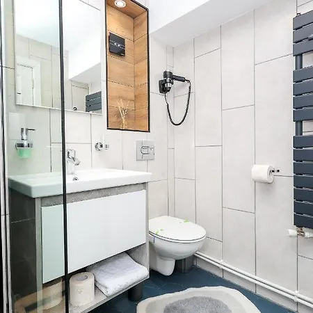 Apartment Ioana Bucovina