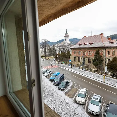 Ioana Bucovina Apartment *